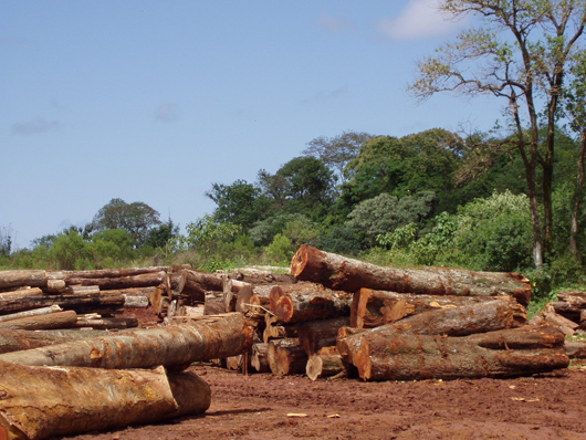 logging enterprise by dan ryan