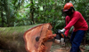 daniel beltra photo of man cutting wood