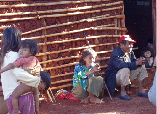 guarani family by dan ryan