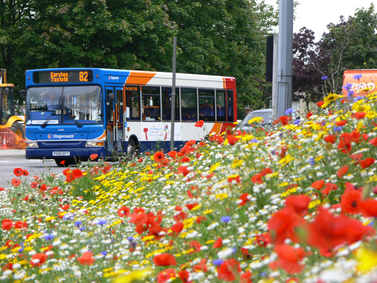 bus passing behind flowers