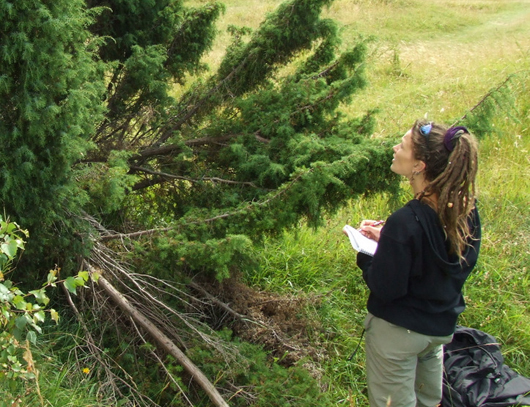 girl next to juniper bush taking measurements 