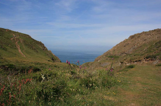 cliff top grassland looking towards blue sea
