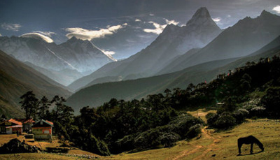 picture of himalayas with mountains and a horse grazing on a pasture