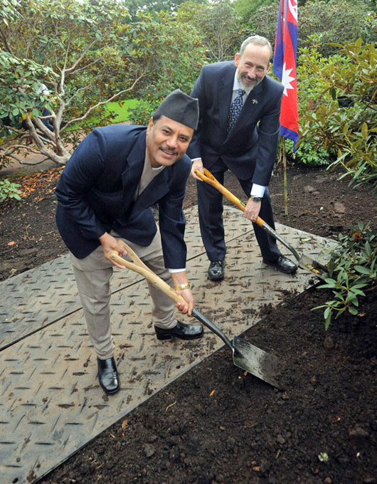 Two men digging in dark soil