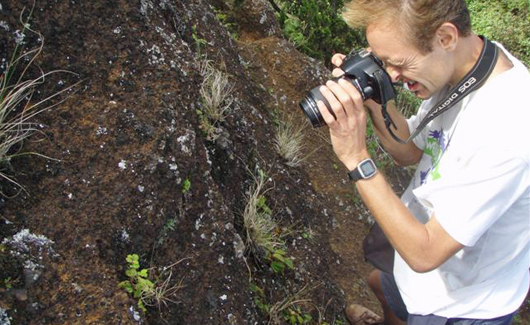 Phil Lambdon taking photos of the rare parsely fern