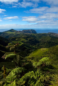 The Peaks, St Helena by Andrew Darlow