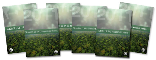 front cover of state of the worlds forest report