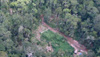 picture of a clearing in the forest used by loggers