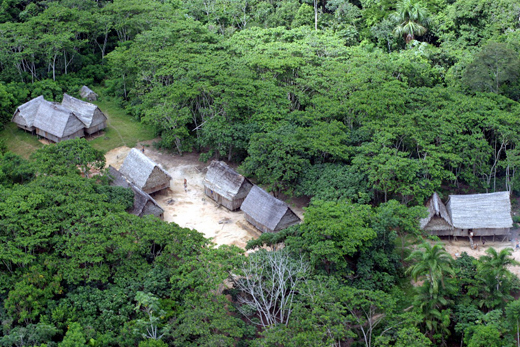 picture shows a small village surrounded by jungle