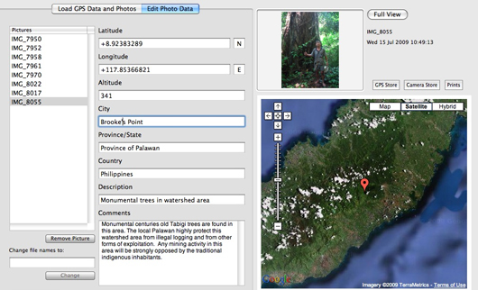 Geo-tagged monumental trees Gantong