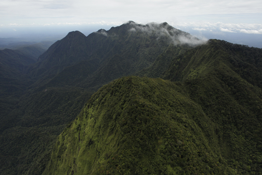 high mountains with dense vegetation