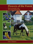 cover of flowers of the forest