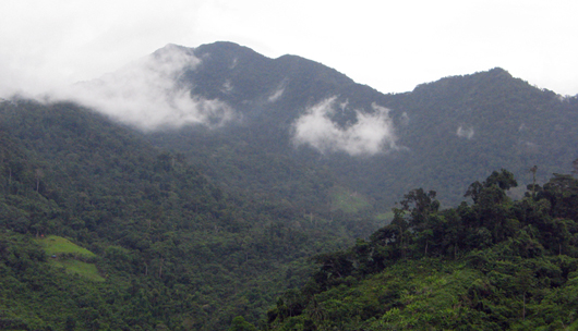 View over forested mountain range in Philippines
