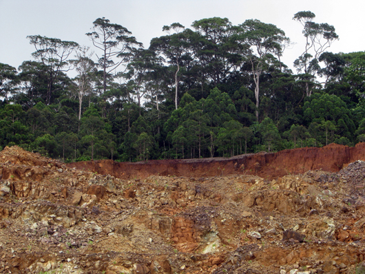 mining in high altitude protected forest
