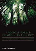 tropical-forestry-carson