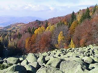 vitosha national park in bulgaria