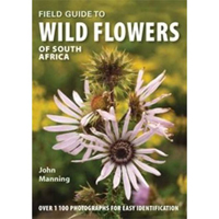 cover of wildflowers of south africa